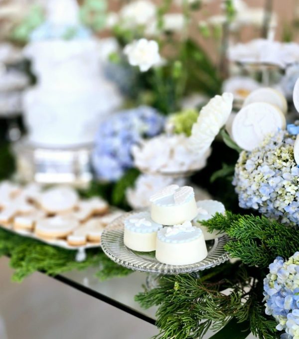 11ebe586-6a6e-4341-a7a4-ab5fb7459a33